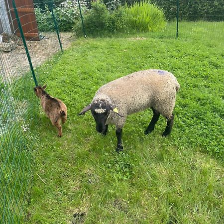 Gite "La Roucherie" 3 Etoiles En Cote D'Opale Lottinghen Eksteriør bilde